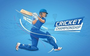 Team Registration Started for Tennis Cricket Festival 2025